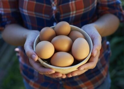 tavuk yumurtasının faydaları